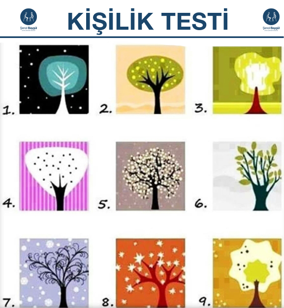 agaclarla-kisilik-testi-personality-test